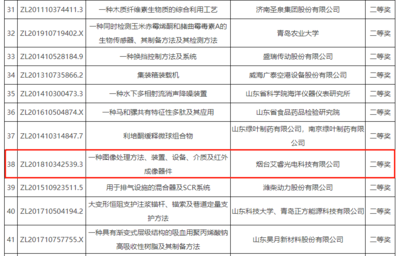 煙臺(tái)開(kāi)發(fā)區(qū)創(chuàng)雙項(xiàng)第一 專(zhuān)利特別獎(jiǎng)與知識(shí)產(chǎn)權(quán)證券化并驅(qū)